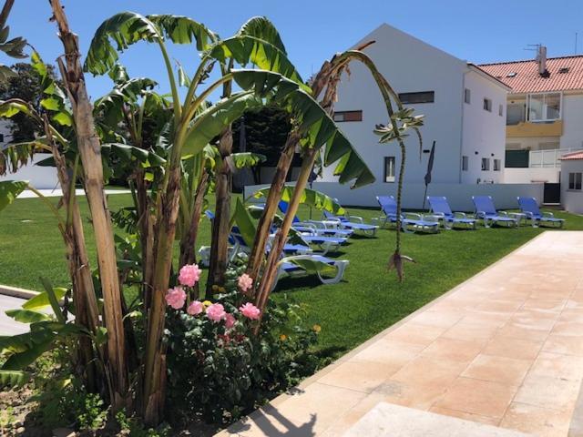 Silver Seahorse Garden Retreat 아토우기아다발레이아 외부 사진